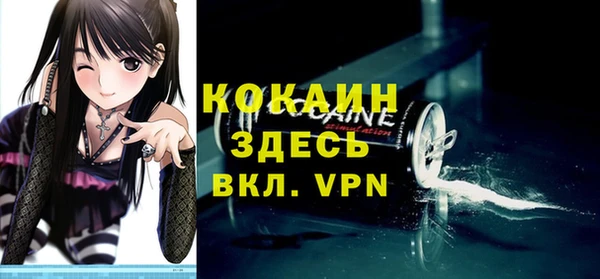 ГАЛЛЮЦИНОГЕННЫЕ ГРИБЫ Верея