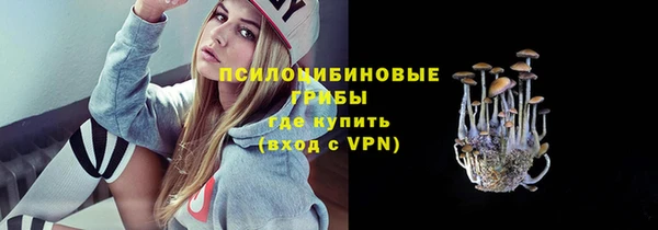 гидра Бородино