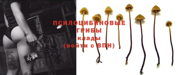 гидра Бородино