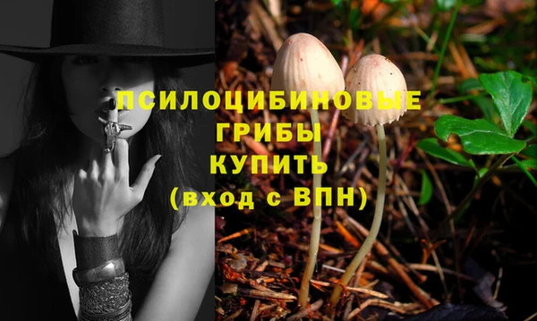 PSILOCYBIN Бронницы