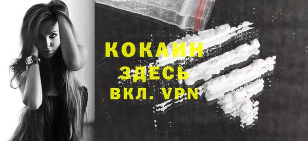 ГАЛЛЮЦИНОГЕННЫЕ ГРИБЫ Верея