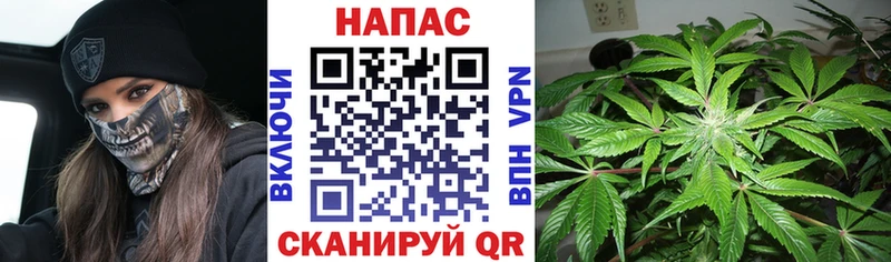 Шишки марихуана MAZAR  где купить наркоту  Вихоревка 